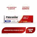Polaramine Maleato de Dexclorfeniramina 10mg/g Creme Dermatológico 30g