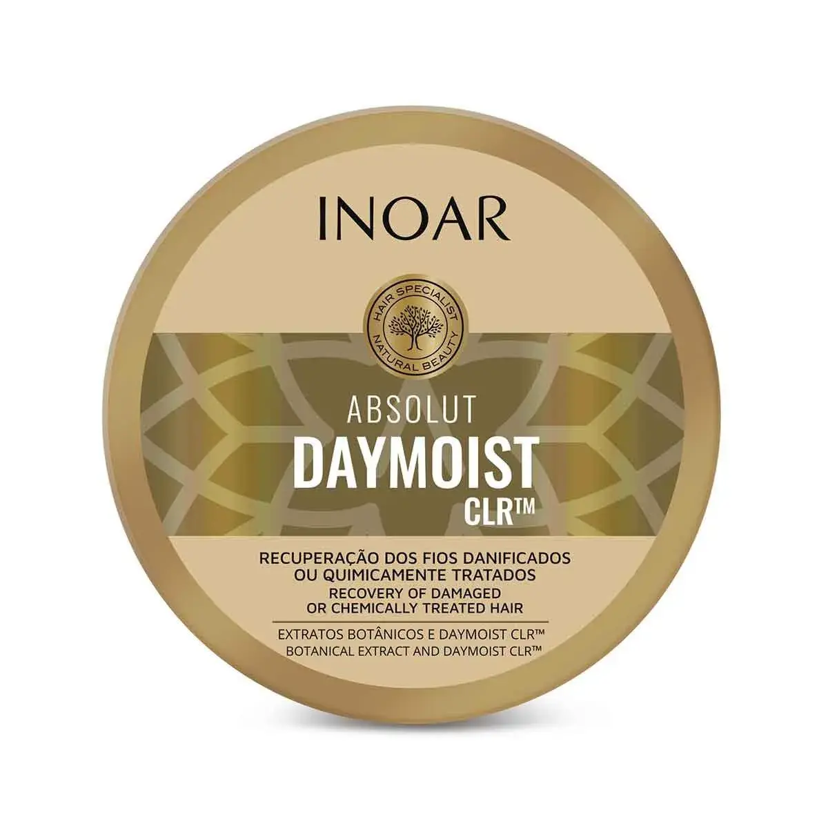 Máscara de Reparação Inoar Absolut Daymoist CLR Cabelos Danificados com 250ml