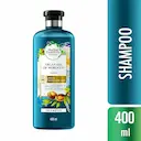 Shampoo Herbal Essences Bio Renew Argan Oil Of Marrocco com 400ml