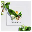 Shampoo Herbal Essences Bio Renew Óleo de Moringa Dourada 400ml