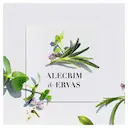 Shampoo Herbal Essences Bio: Renew Alecrim e Ervas com 400ml