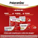 Polaramine Maleato de Dexclorfeniramina 0,4mg/ml Solução Oral Sabor Frutas 120ml