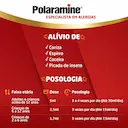 Polaramine Maleato de Dexclorfeniramina 0,4mg/ml Solução Oral Sabor Frutas 120ml