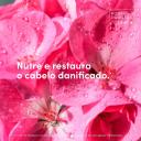 Máscara Capilar Dove Poder das Plantas Nutrição + Gerânio com 190ml