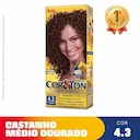 Tintura Cor&Ton Niely 4.3 Castanho Médio Dourado com 1 Unidade
