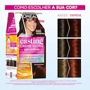Tinta de Cabelo Casting Creme Gloss - Poder Iluminador de L’Oréal Paris 665 Framboesa 230g