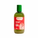 Fitoshampoo Reparador Weleda Argan Reparação e Brilho 250ml