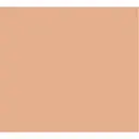 Base 2 em 1 Revlon New Complexion One Step Sand Beige FPS 15