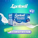 Lactosil 10.000 FCC com 30 sachês de 2g cada