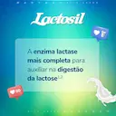 Lactosil 10.000 FCC com 30 sachês de 2g cada
