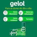Gelol 52,5mg/g Pomada com 20g
