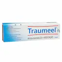 Traumeel S Arnica Montana D3 + Associação Pomada com 50g