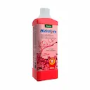 Hydralite 45 Sabor Tutti-Frutti Solução 500ml