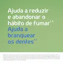 Nicorette Icemint 2mg Goma Mastigável para Parar de Fumar 30 unidades