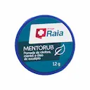 Mentorub Droga Raia Descongestionante Spray 12g