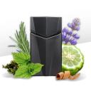 ANIMALE SEDUCTION HOMME EDT PERFUME MASCULINO 100ML