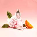 SHAKIRA DANCE EDT PERFUME FEMININO 80ML