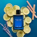 BOUCHERON SINGULIER EDP PERFUME MASCULINO 50ML