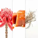 AZZARO WANTED GIRL EDP PERFUME FEMININO 50ML