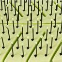 WETB GO GREEN DETANGLE ESCOVA VERDE