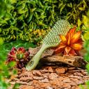 WETB GO GREEN DETANGLE ESCOVA VERDE