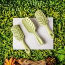 WETB GO GREEN DETANGLE ESCOVA VERDE