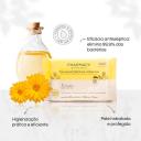 PHARMACY BOTANICALS TOALHAS ANTISSéPTICAS UMEDECIDAS 30 UNID