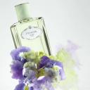 Infusion D'Iris PRADA Eau de Parfum - Perfume Feminino 30ml