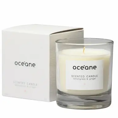 VELA AROMATIZADA DE CAPIM LIMãO E GENGIBRE SCENTED CANDLE 180 G