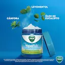 Vick VapoRub Descongestionante Pomada 100g