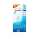 Theogórico B6 Sobral Gotas 30ml