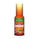 Spray Aromatizante Bucal Água Rabelo Sabor Romã 45ml
