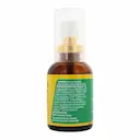 Spray para Garganta Composto de Mel e Extrato de Própolis Needs Sabor Hortelã 30ml