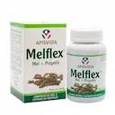 Composto de Mel e Extrato de Própolis Melflex Apis Vida Xarope 300g