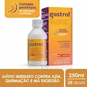 Gastrol Hidróxido de Alumínio 125mg/ml + Hidróxido de Magnésio 50mg/ml + Simeticona 180mg/ml Suspensão Oral 250ml