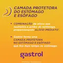 Gastrol Hidróxido de Alumínio 125mg/ml + Hidróxido de Magnésio 50mg/ml + Simeticona 180mg/ml Suspensão Oral 250ml