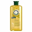 Shampoo Herbal Essences Shine Collection Brillance com 400ml