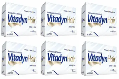 KIT 6 VITAMINA VITADYN HAIR COM 60 CáPSULAS - ECOFITUS