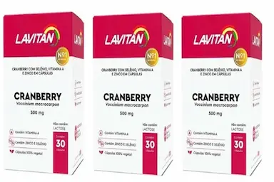KIT 3 LAVITAN CRANBERRY 500MG COM 30CPS - CIMED