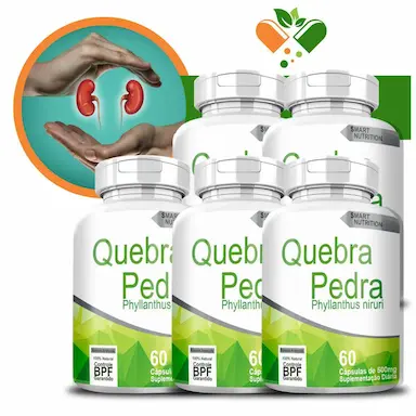 KIT COM 5 QUEBRA PEDRA 500MG 60 CáPSULAS