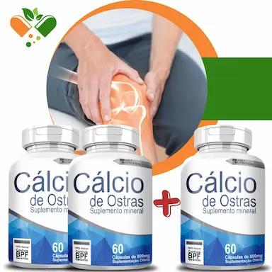 COMPRE 2 LEVE 3 POTES CáLCIO DE OSTRAS 800MG 60 CáPSULAS