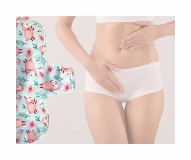 ABSORVENTE FEMININO ECOLóGICO - FLUXO BAIXO