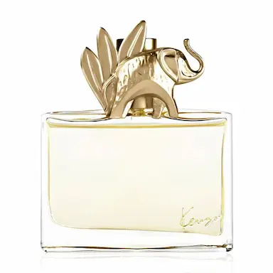 KENZO JUNGLE ELEFANT EAU DE PARFUM - PERFUME MASCULINO - 30ML