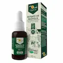 EXTRATO DE PROPOLIS VERDE ORGANICO 30ML APIS FLORA