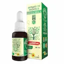 EXTRATO PRóPOLIS VERDE 70 APIS FLORA 30ML