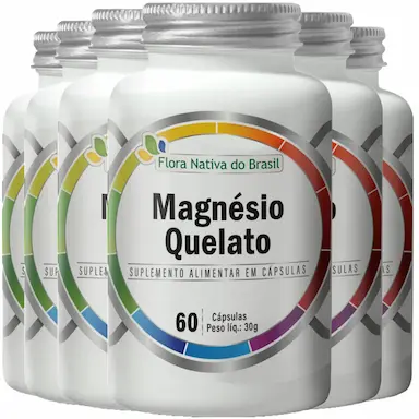 MAGNéSIO QUELATO 500MG 6 X 60 CáPSULAS - FLORA NATIVA