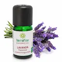 ÓLEO ESSENCIAL LAVANDA FRANCESA TERRAFLOR 10ML