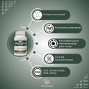 OMEGAFOR VEGAN FONTE ÔMEGA3 VEGANO 400MG NATURAL DHA VITAFOR