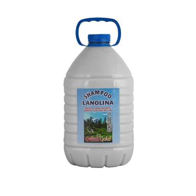 SHAMPOO DETA GOLD LANOLINA 5L
