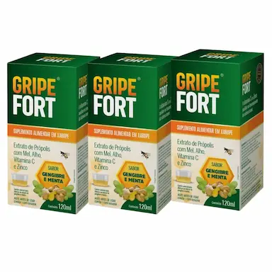 KIT 3UNI GRIPE FORT XAROPE 120ML GENGIBRE E MENTA - EUROFITO